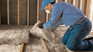 Professional Insulation Services in Jasper, GA